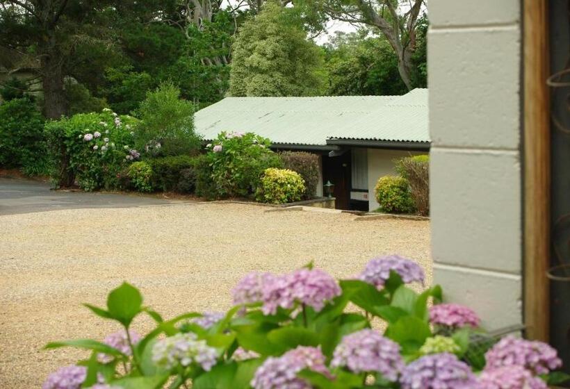 בית מלון כפרי Blackheath Motor Inn