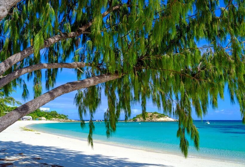 호텔 Lizard Island Resort