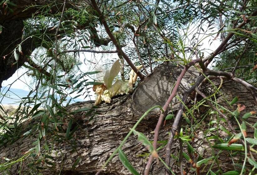 هتل Swansea Motor Inn Tasmania