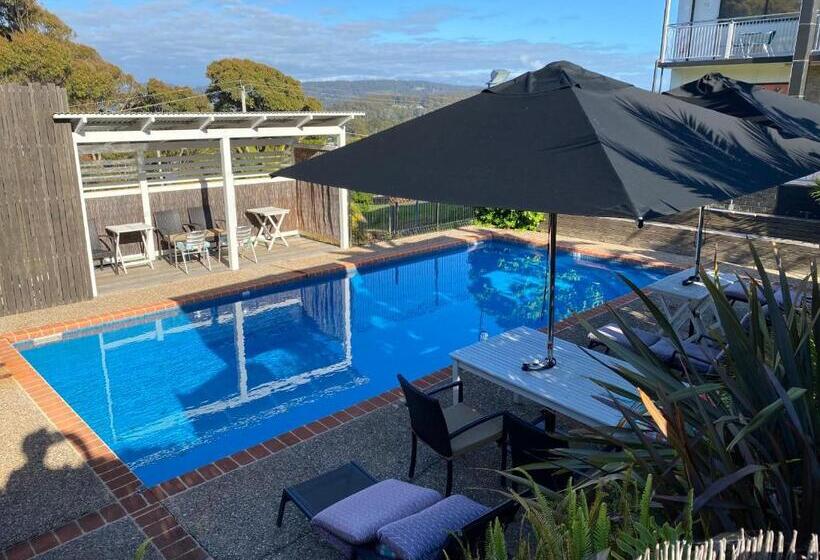 酒店 Top Of The Town Motor Inn