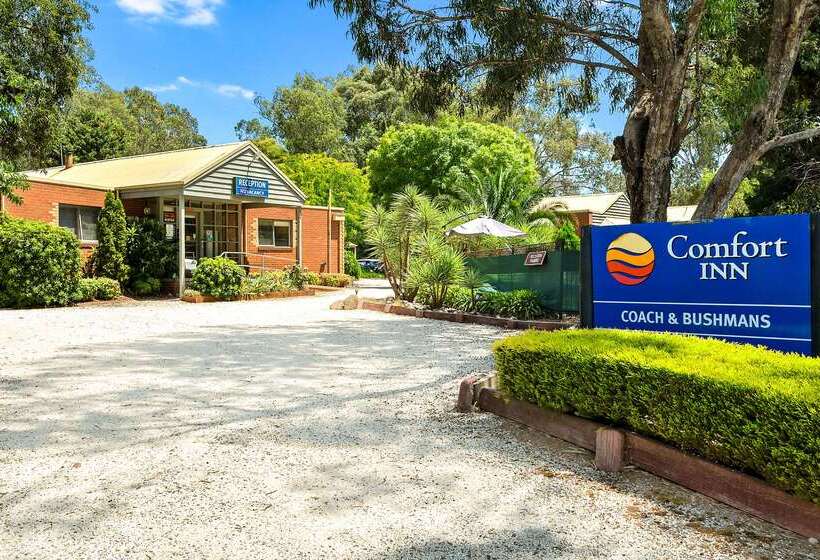 בית מלון כפרי Comfort Inn Coach & Bushmans