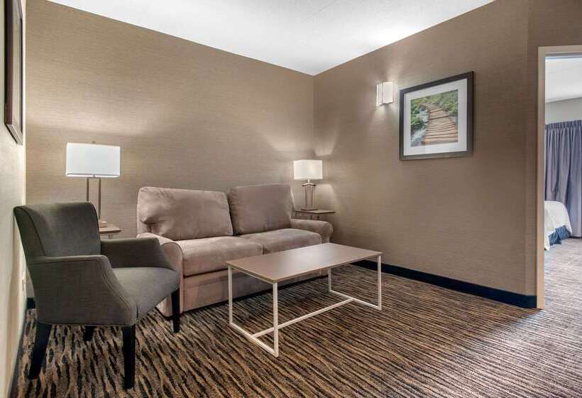 Clarion Hotel & Suites