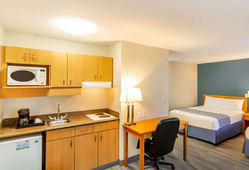 هتل Econo Lodge Inn & Suites University