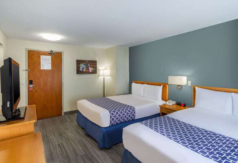 בית מלון כפרי Econo Lodge Inn & Suites University