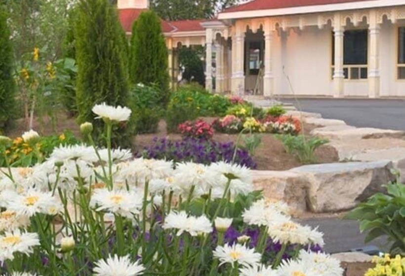 Fern Resort