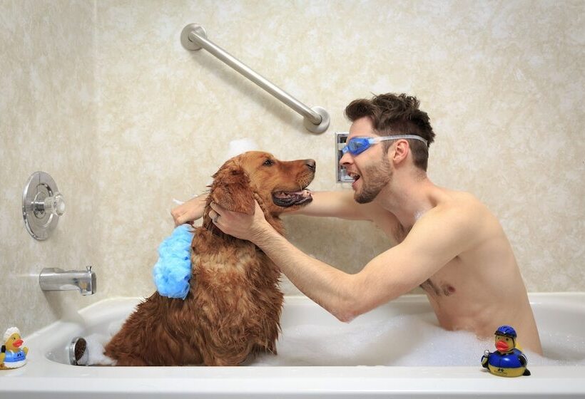 فندق Accent Inns Victoria