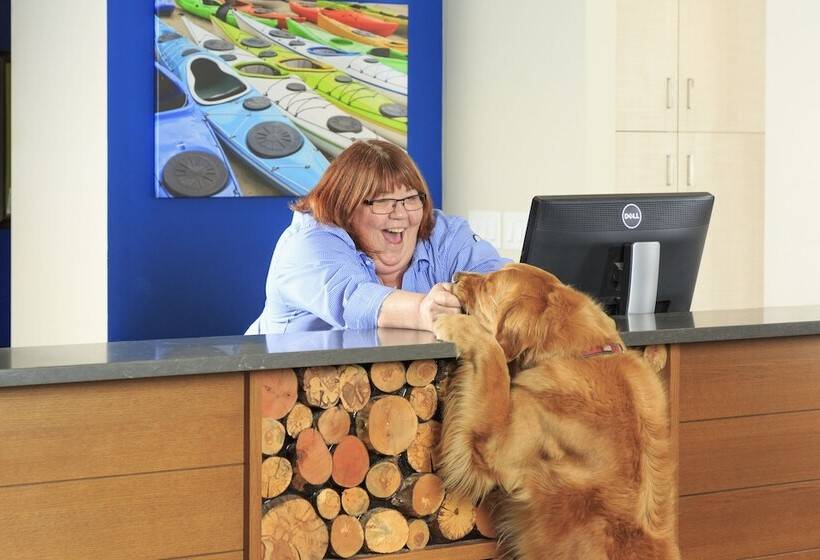 فندق Accent Inns Victoria