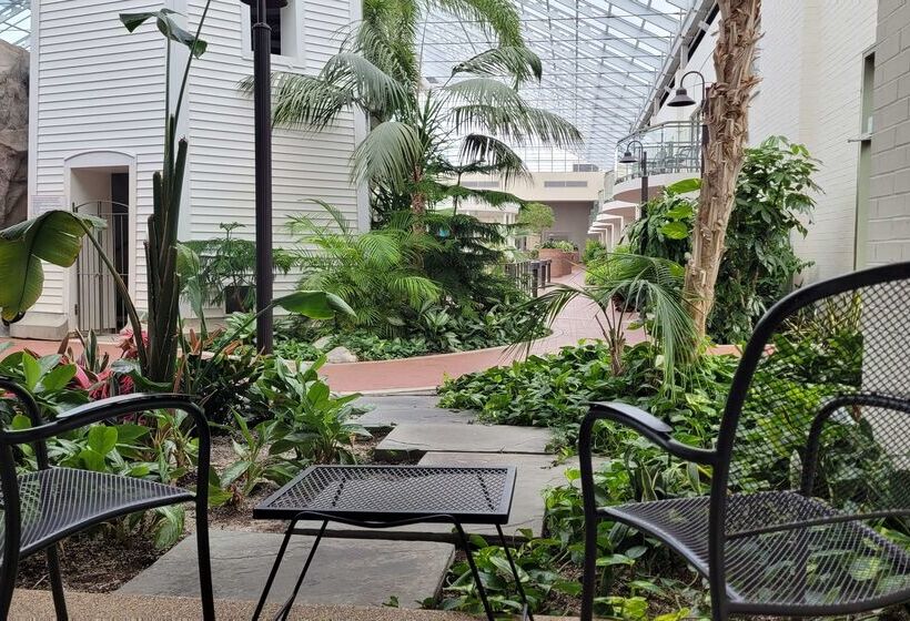 هتل Best Western Plus Lamplighter Inn & Conference Centre