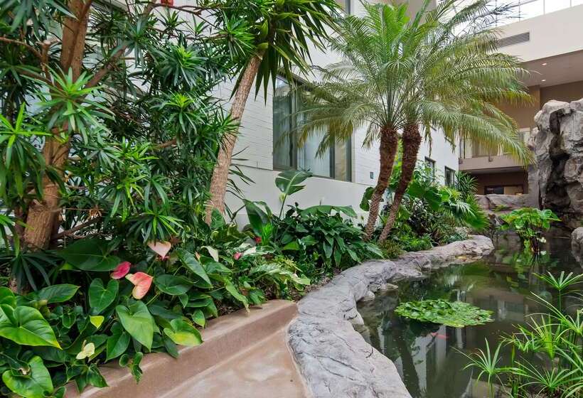 هتل Best Western Plus Lamplighter Inn & Conference Centre