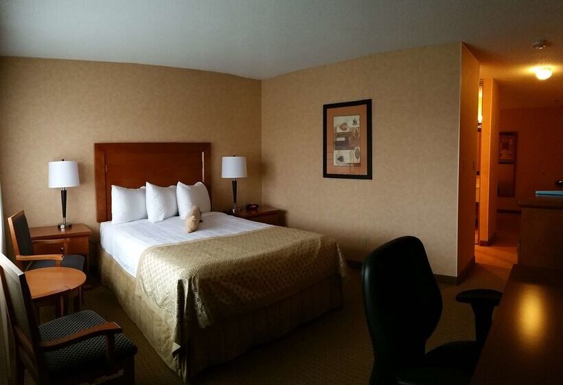 酒店 Best Western Plus Langley Inn