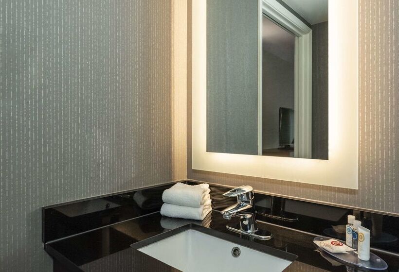 هتل Comfort Inn Magnetic Hill