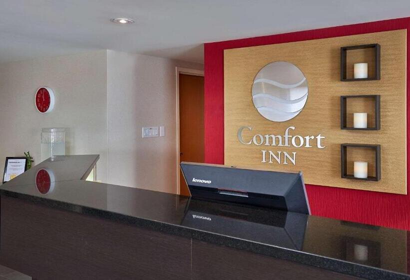 Отель Comfort Inn