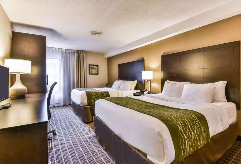 هتل Comfort Inn