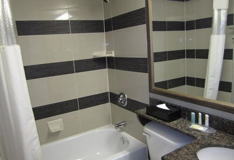 هتل Comfort Suites Downtown