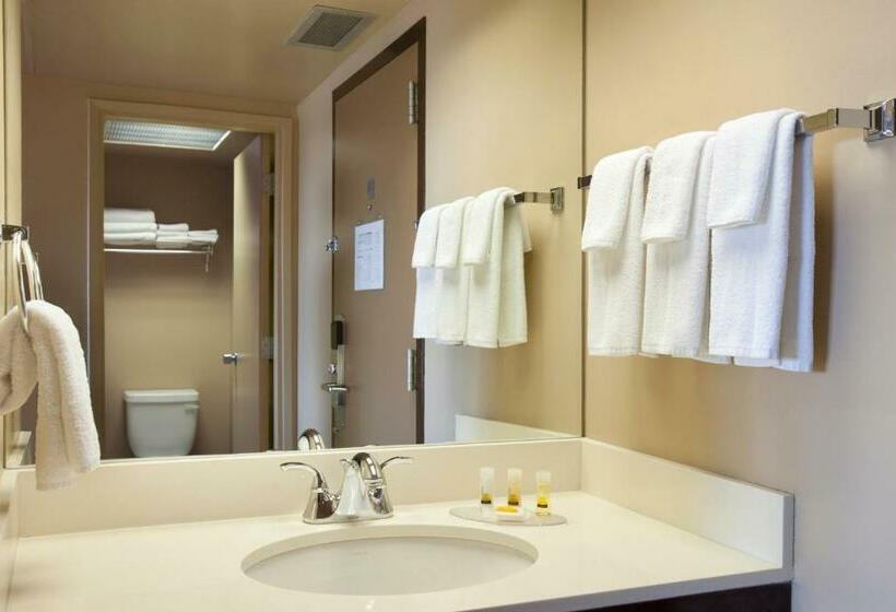 בית מלון כפרי Border Inn And Suites Lloydminster