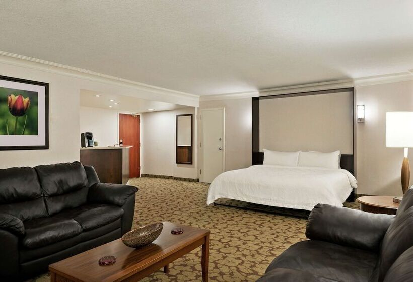 هتل Hilton Garden Inn Saskatoon Downtown