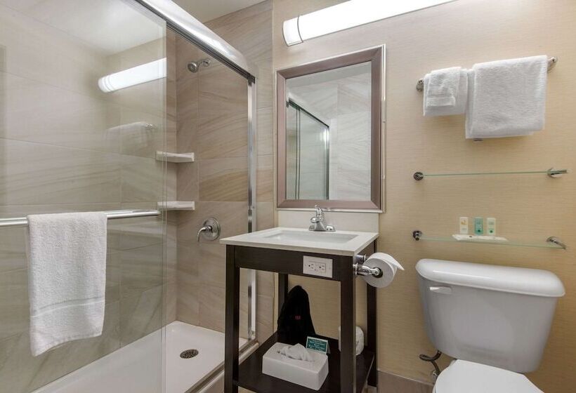 هتل Quality Inn & Conference Centre Downtown