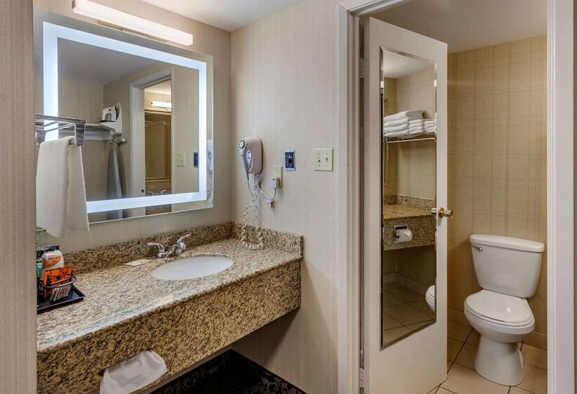 酒店 Quality Inn & Conference Centre
