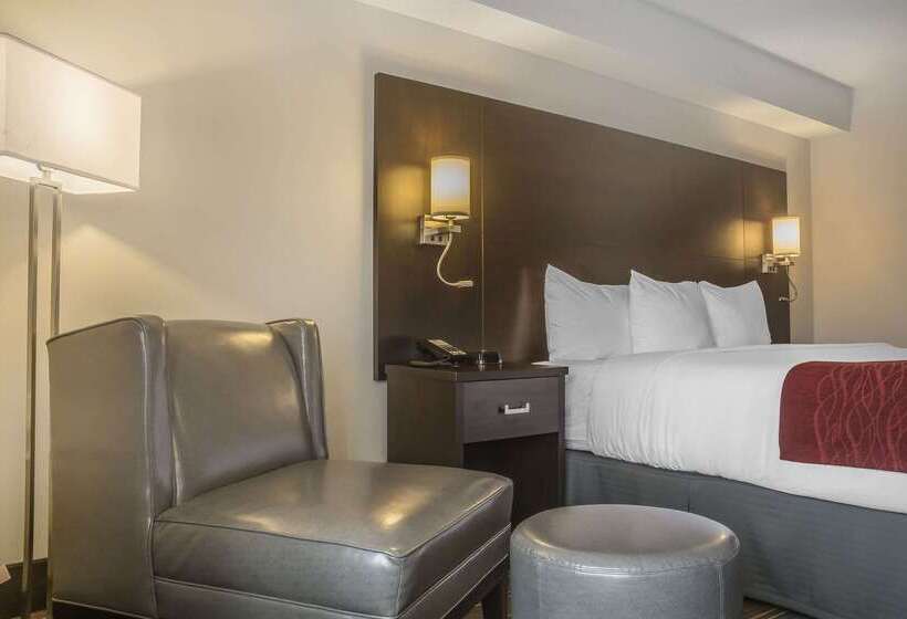 Отель Quality Inn