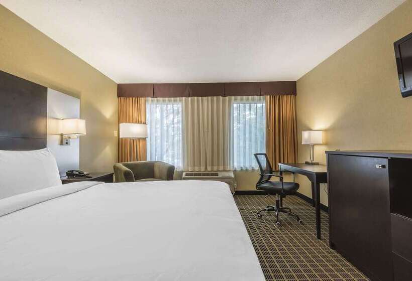 هتل Quality Inn & Suites Downtown