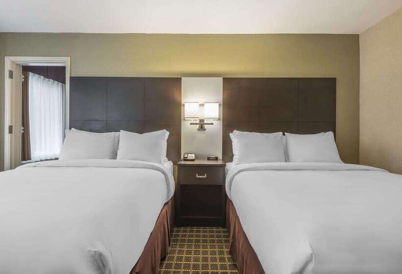 هتل Quality Inn & Suites Downtown