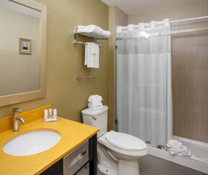 هتل Quality Inn & Suites Downtown