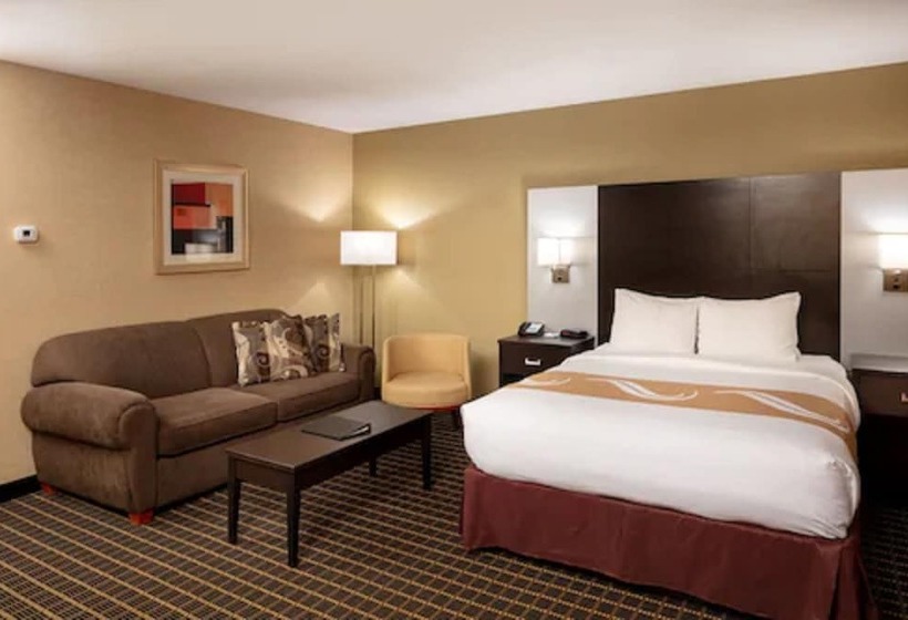 هتل Quality Inn & Suites Downtown