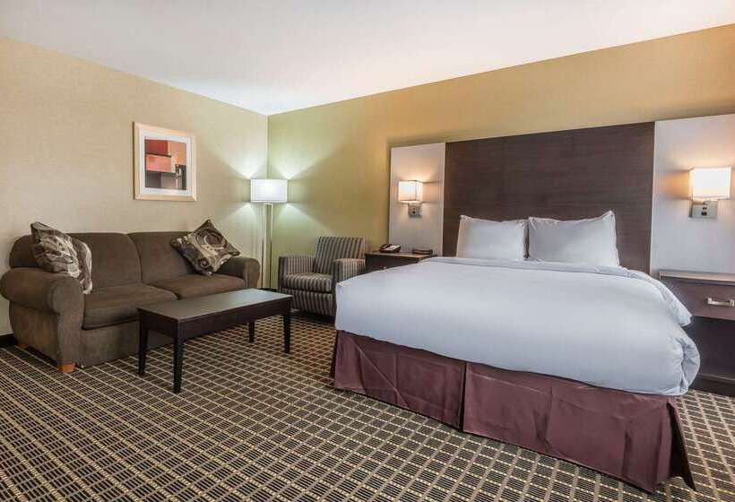 هتل Quality Inn & Suites Downtown