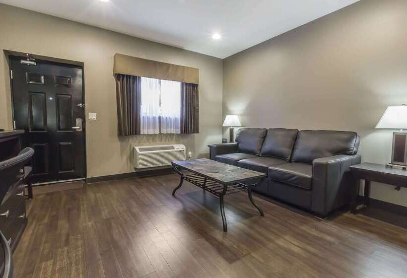 هتل Quality Inn & Suites