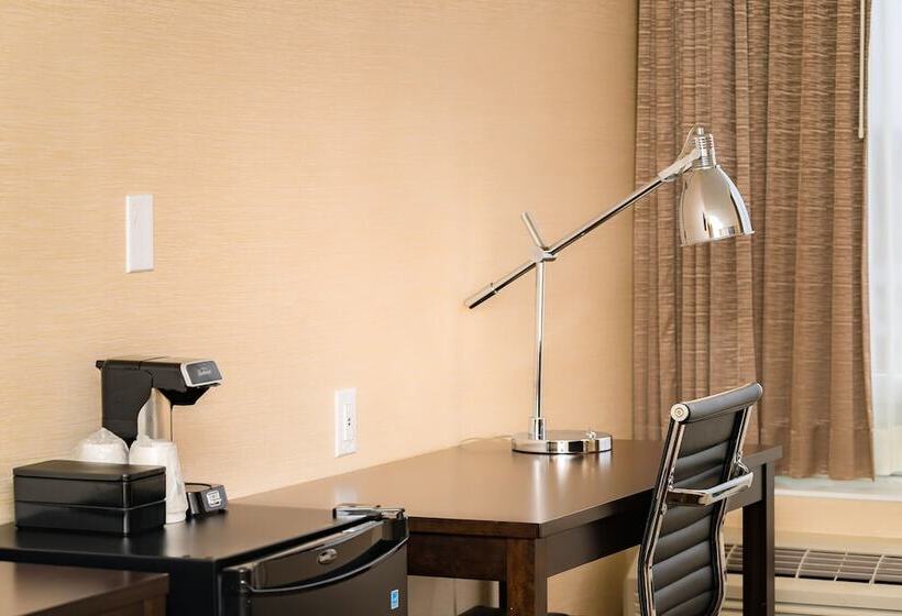 هتل Ramada By Wyndham Niagara Falls Near The Falls