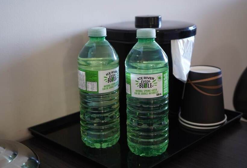 هتل River Rapids Inn