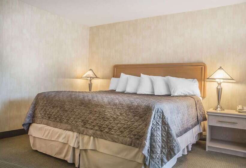 هتل Rodeway Inn Fallsview