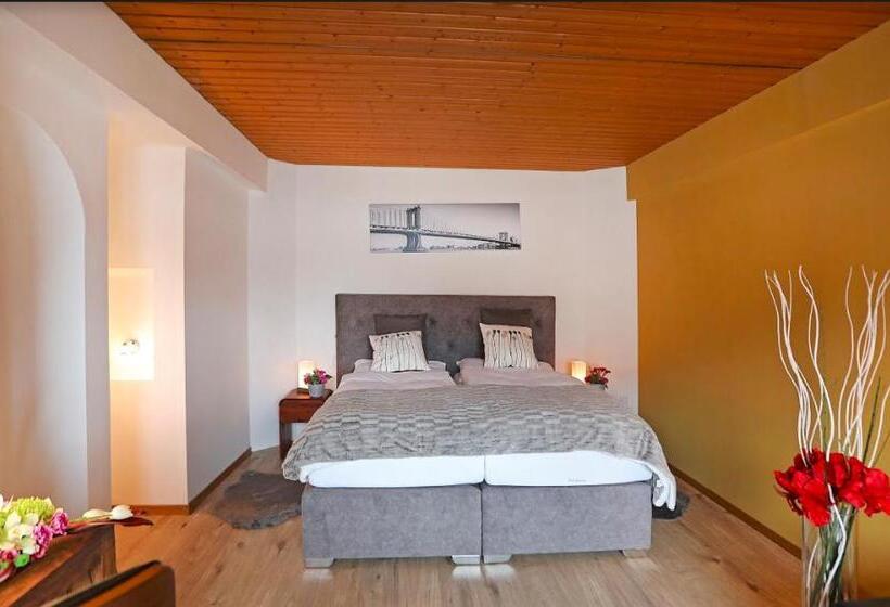 בית מלון כפרי Derby Davos