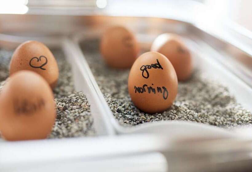 酒店 Central Hamburg