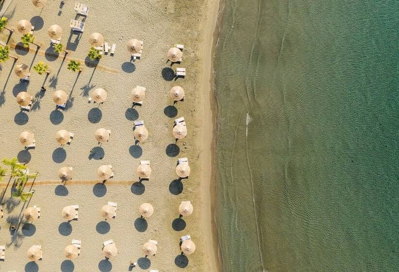 هتل St Raphael Resort
