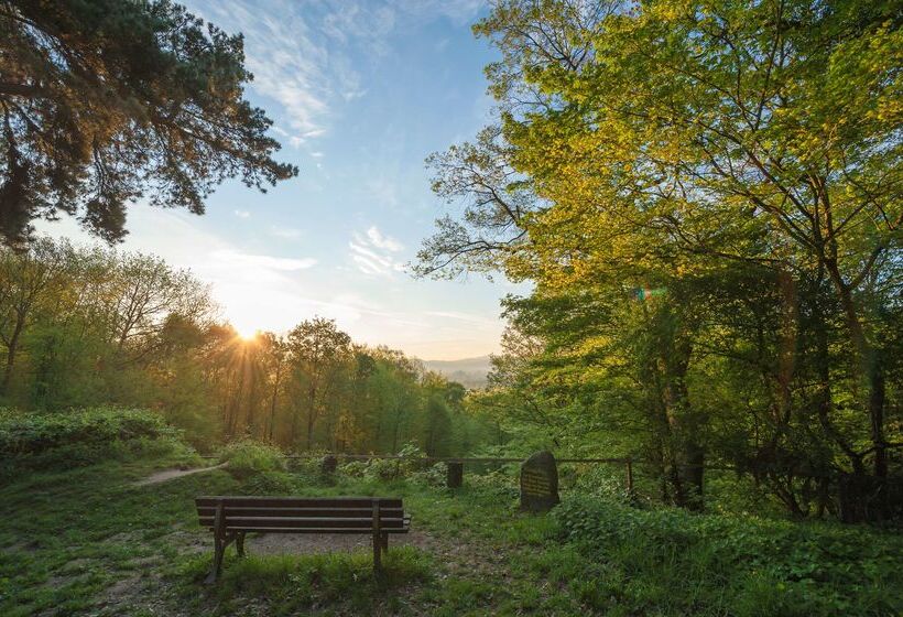 هتل Dorint Venusberg Bonn