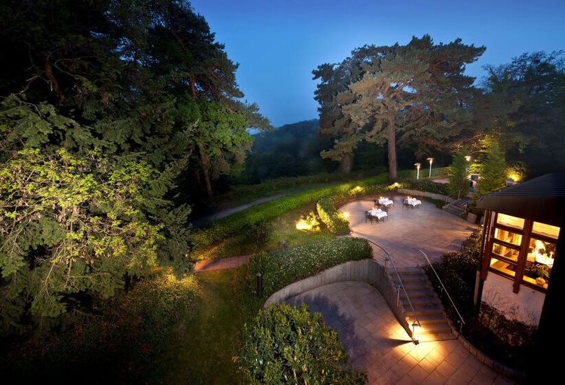 هتل Dorint Venusberg Bonn