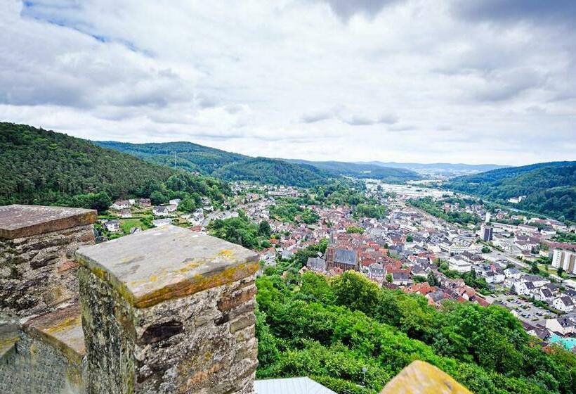 호텔 Halbersbacher. Park Biedenkopf