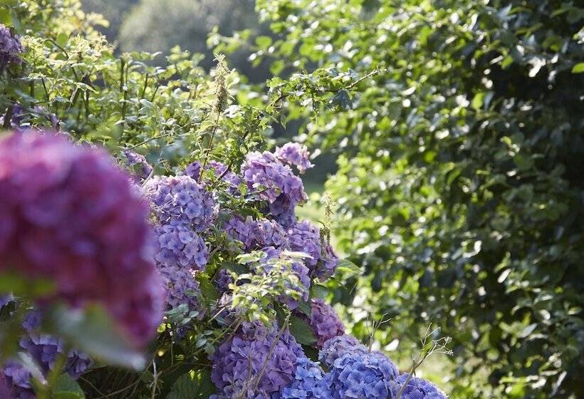 Nordica Hotel Berlin