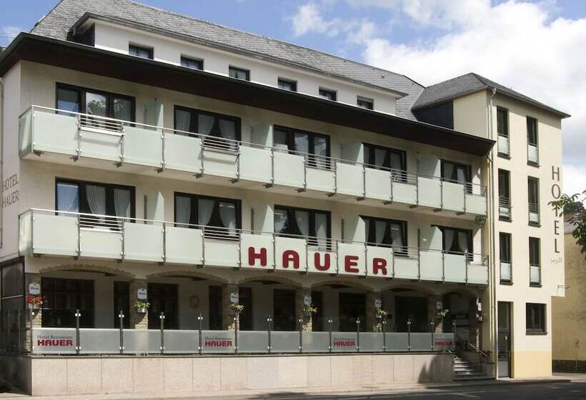 ホテル Hauer