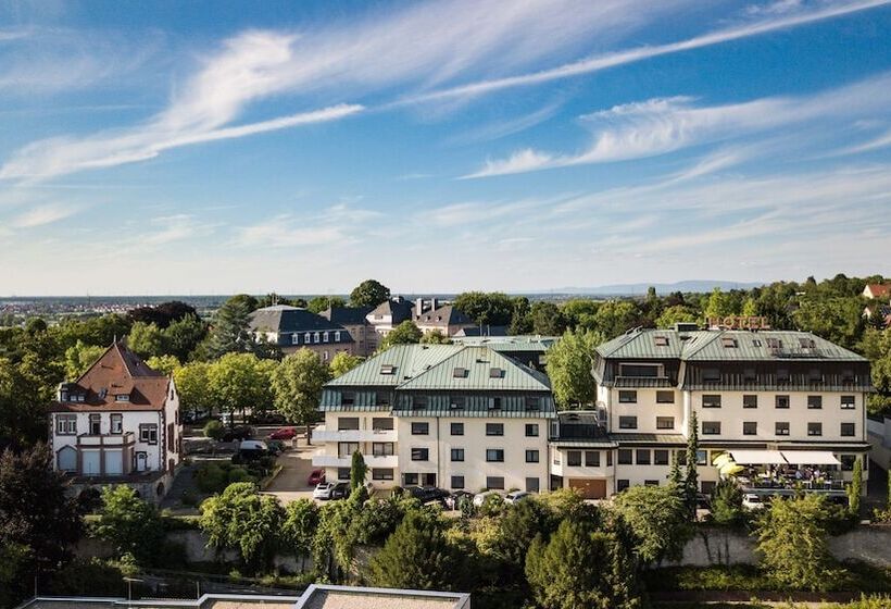 Отель Scheffelhohe