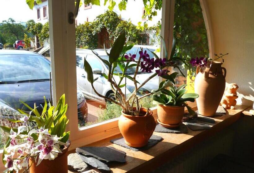 酒店 Und Weingut Karlsmühle