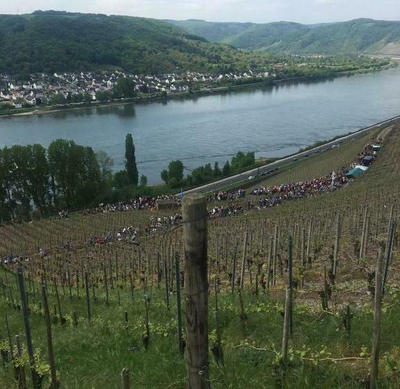 فندق Rhein Wagner