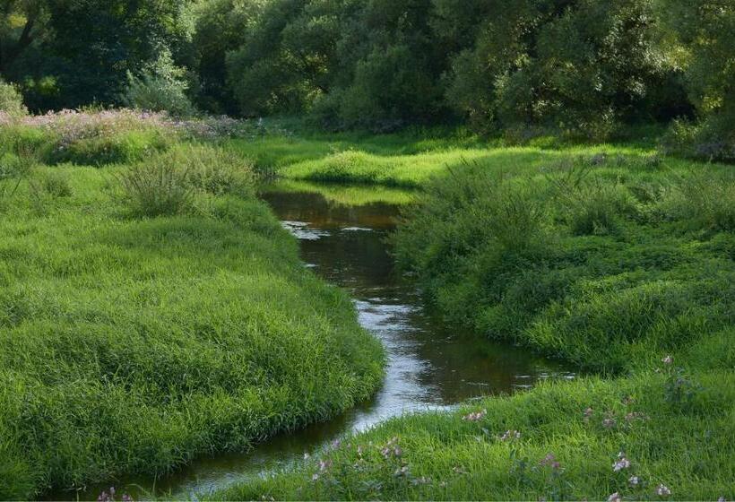 Отель Am Regenbogen