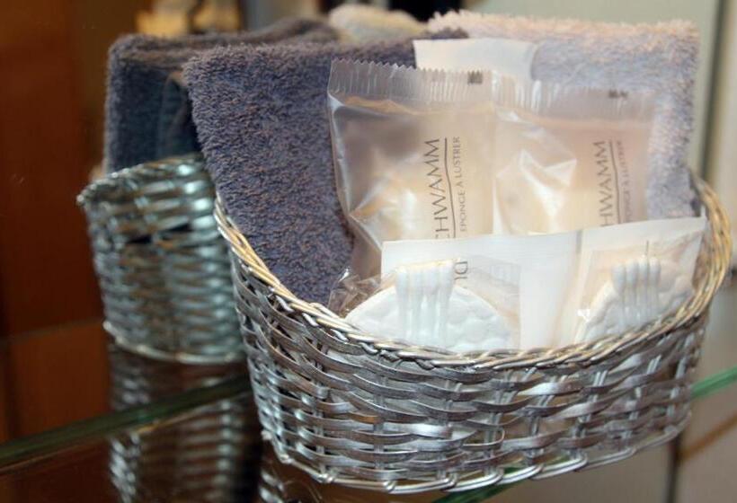 هتل Passauer Wolf