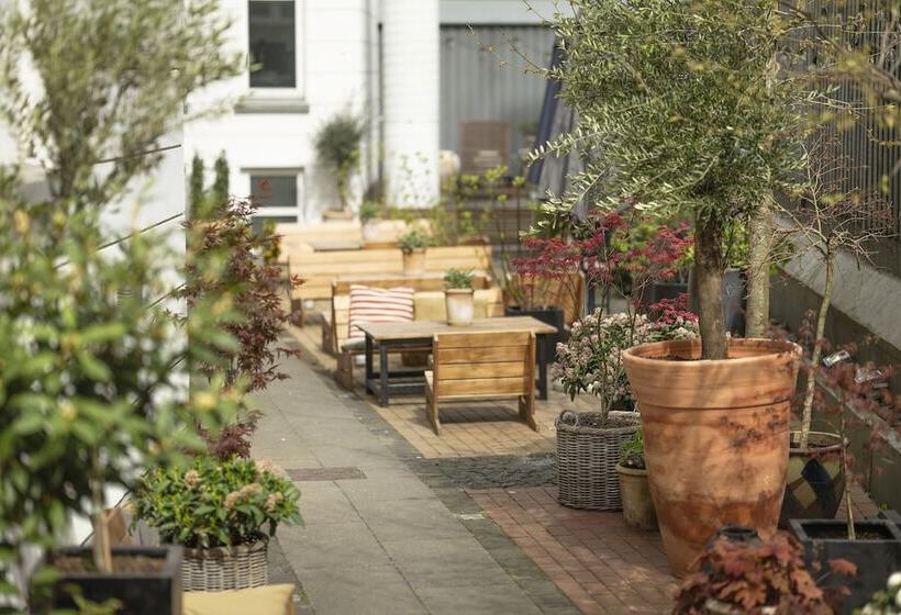 בית מלון כפרי Mayfair