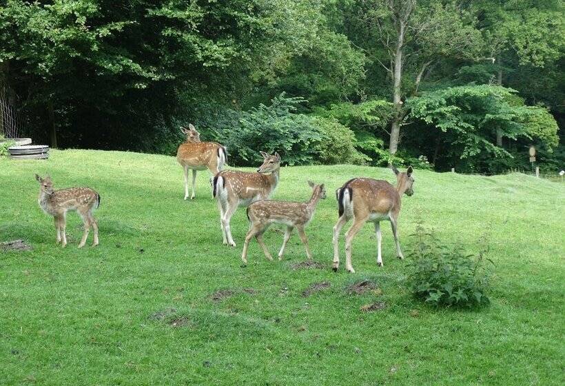 فندق Rold Storkro