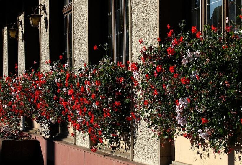 酒店 Au Nid De Cigognes