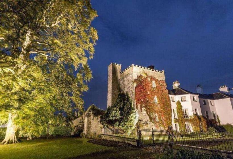 酒店 Barberstown Castle