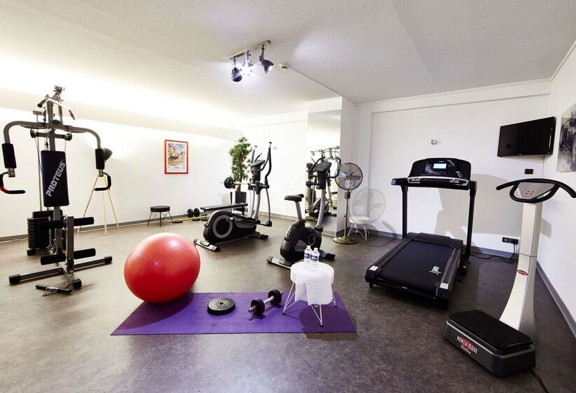 فندق Best Western Plus Au Cheval Blanc à Mulhouse